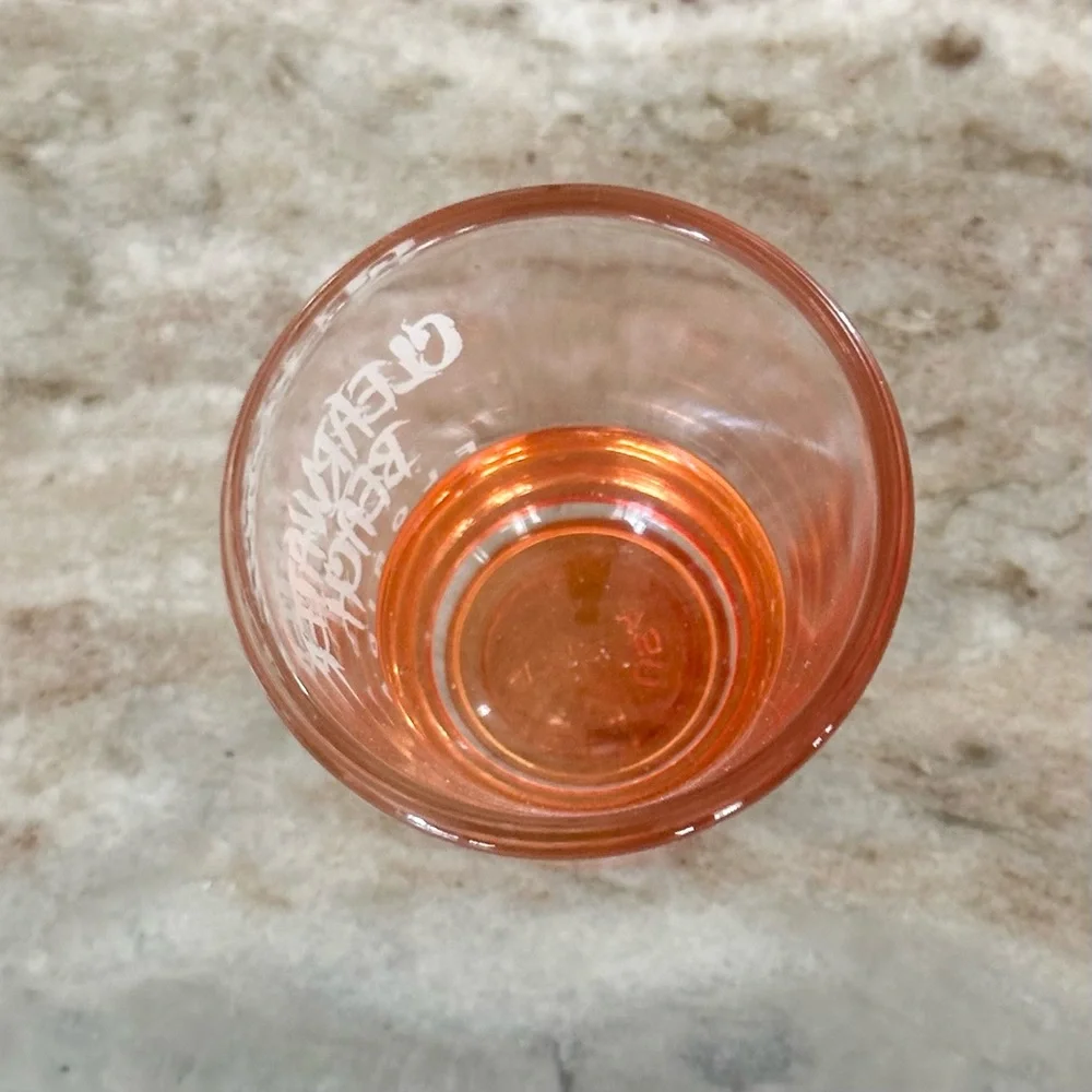 Clearwater Beach Florida Novelty Souvenir Shot Glass